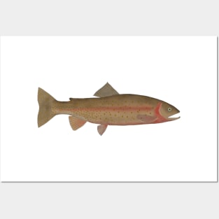 Cutthroat Trout Posters and Art